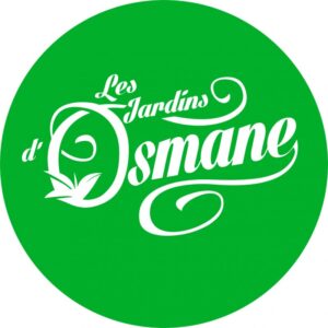 Osmane High Grade Mint Tea - 20 Sachets Display Box - Image 3