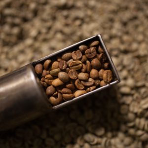 Anne Caron - Coffee Beans